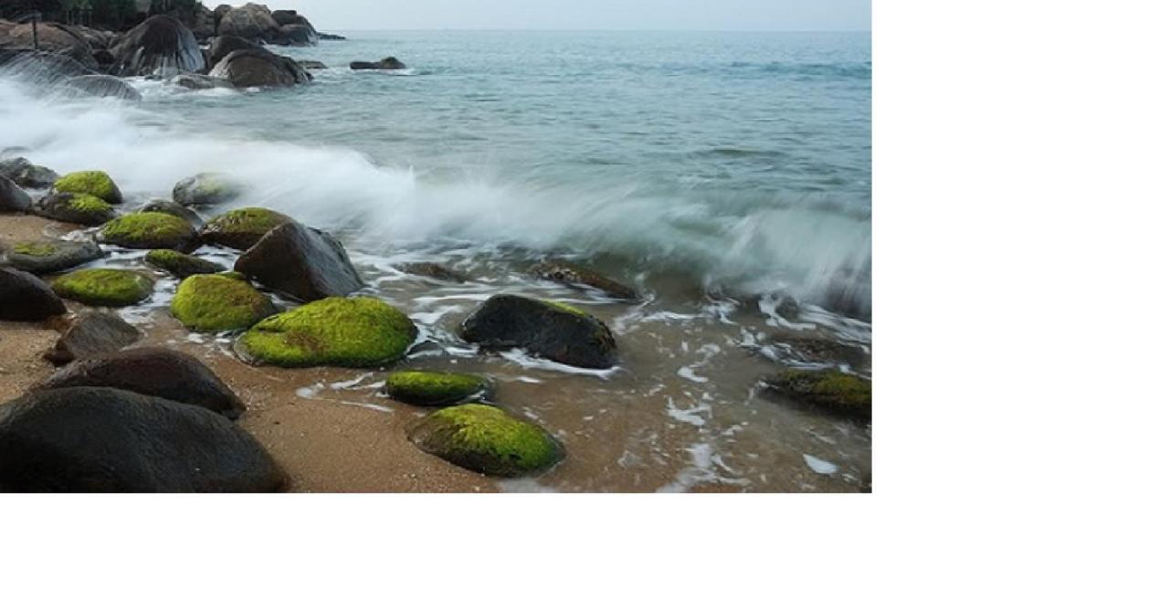 Da Nang Minh Hai 외부 사진