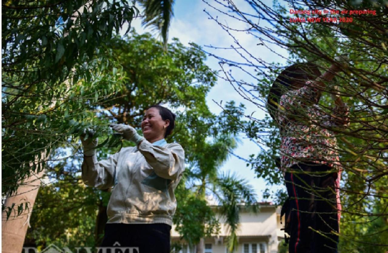 Da Nang Minh Hai 외부 사진